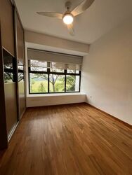 Holland Link (D10), Terrace #467348081